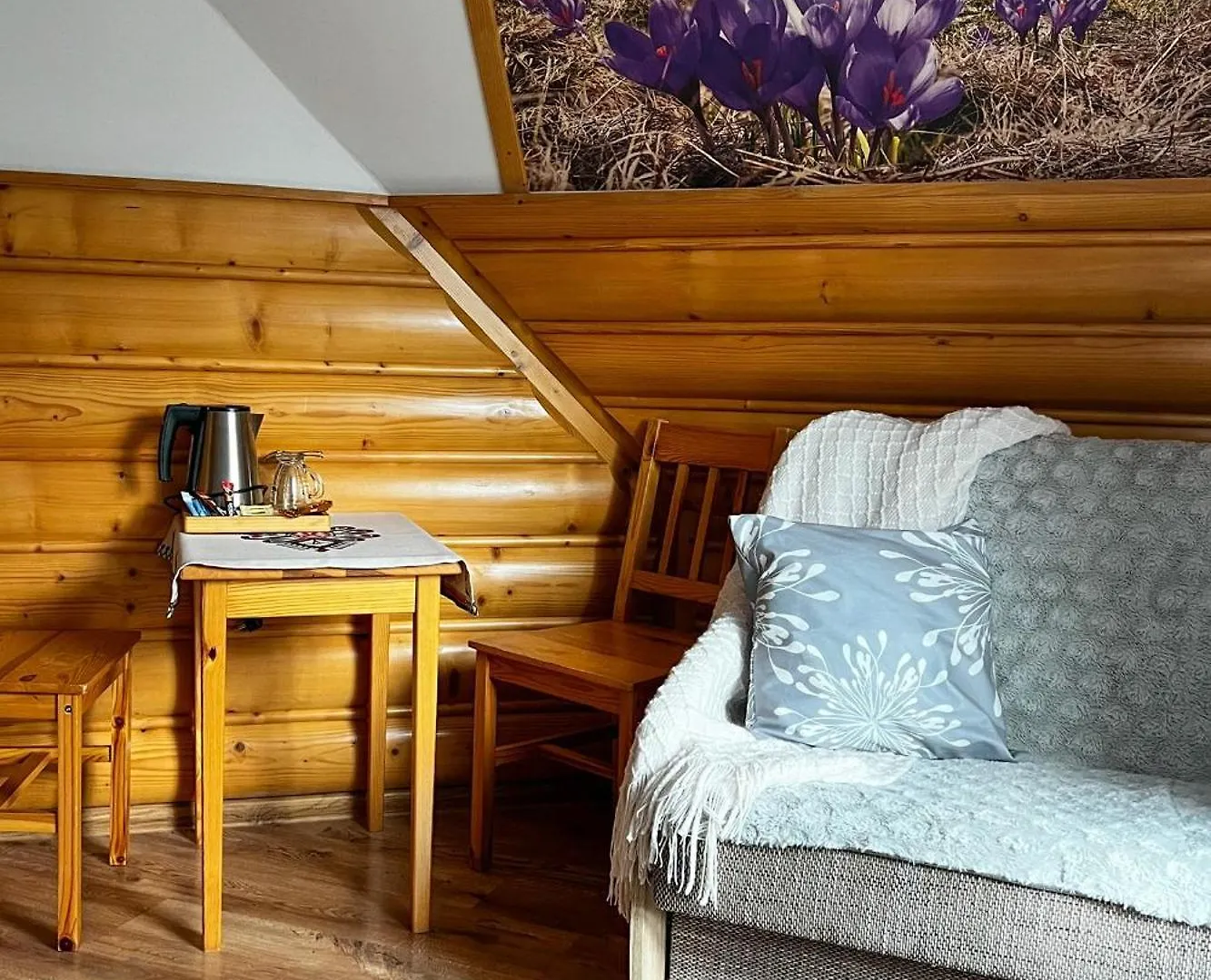 Homestay Pokoje Goscinne U Iwony Zakopane